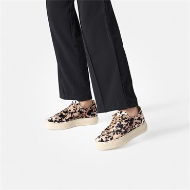 Paul Green Platform Bungee Lace Suede - Leopard Print